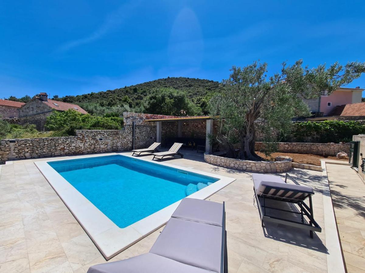 Willa Olive Tree - House With Pool Vinišće Zewnętrze zdjęcie