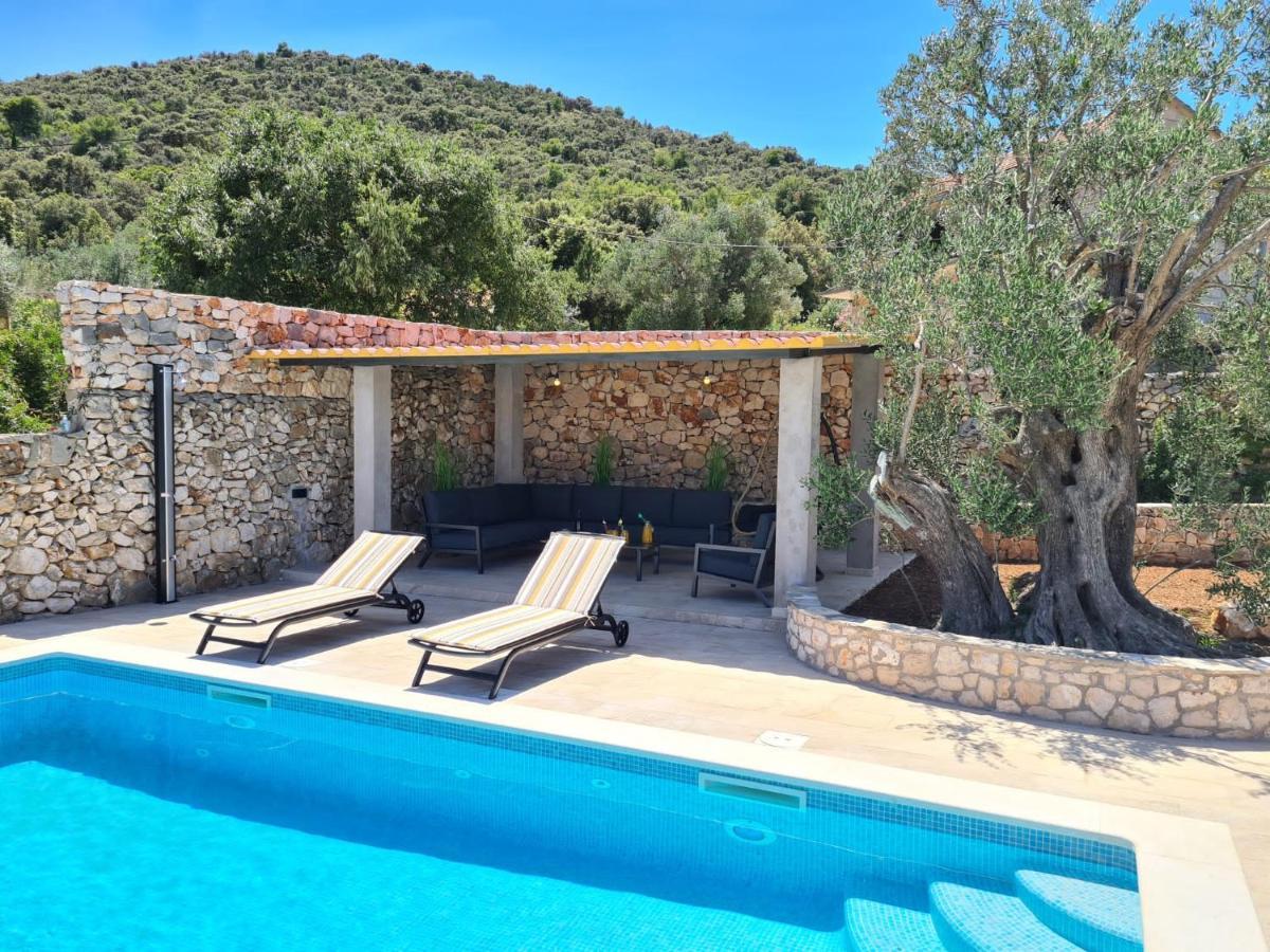 Willa Olive Tree - House With Pool Vinišće Zewnętrze zdjęcie