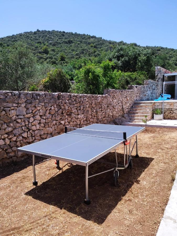 Willa Olive Tree - House With Pool Vinišće Zewnętrze zdjęcie